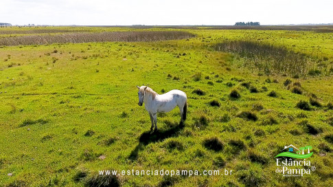 12. Levanta Velho.00_00_20_11.Quadro014_bc2d9b8407fd4ffb48ad488b1a34f33d9937974e.jpg